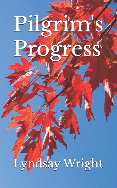 Könyv Pilgrim's Progress Lyndsay Wright