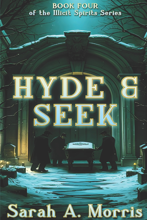 Book Hyde & Seek Sarah A. Morris