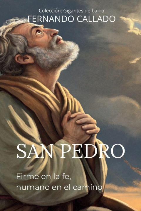 Book San Pedro Fernando Callado