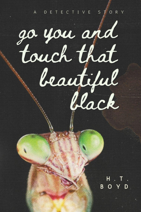 Knjiga Go You And Touch That Beautiful Black H.T. Boyd