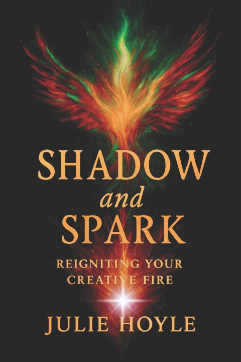 Book Shadow and Spark Julie Hoyle