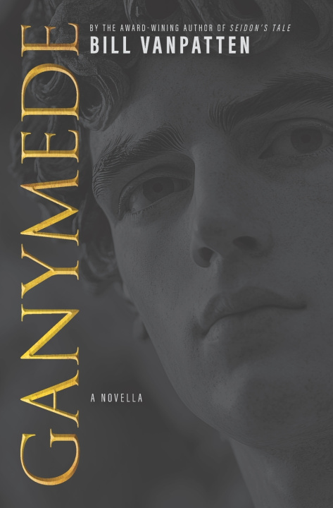 Boek Ganymede Bill VanPatten