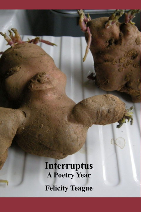 Kniha Interruptus Felicity Teague