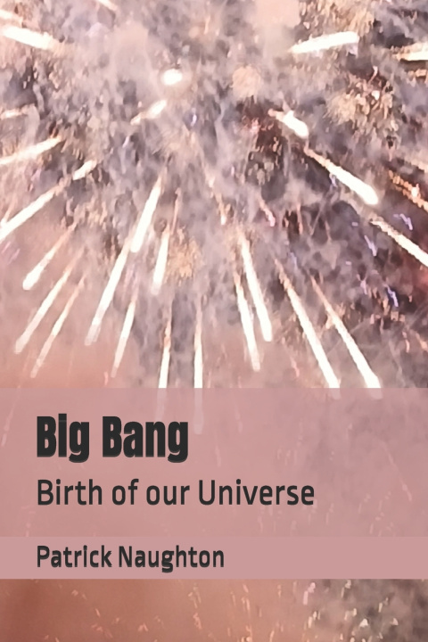 Boek Big Bang Patrick Naughton