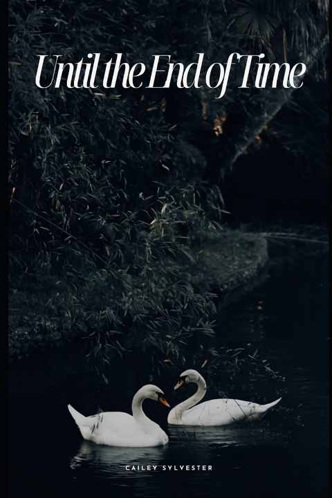 Book Until the End of Time Cailey Sylvester