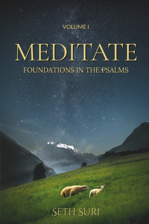 Kniha Meditate Seth Suri
