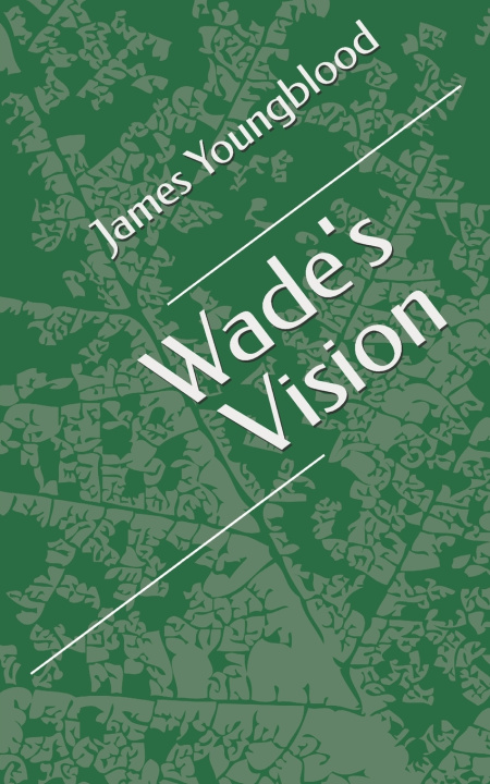Knjiga Wade's Vision James Youngblood