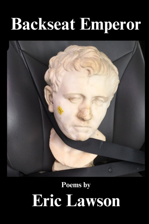 Kniha Backseat Emperor Apryl Skies