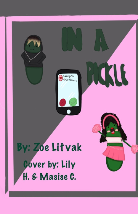 Kniha In a Pickle Zoe Litvak