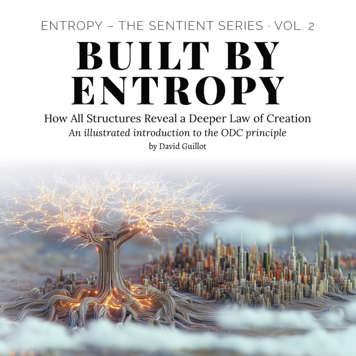 Book Built by Entropy David Guillot