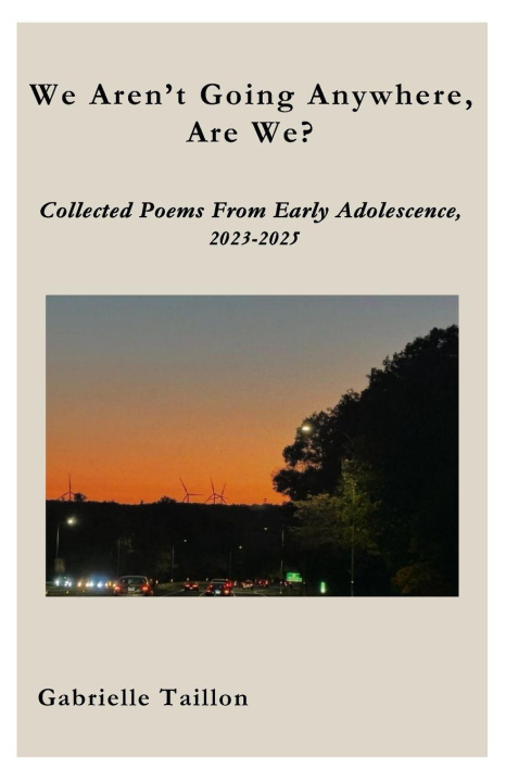 Book We Aren't Going Anywhere, Are We? Gabrielle Renee Taillon