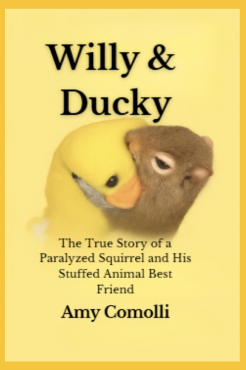 Book Willy & Ducky Amy Comolli