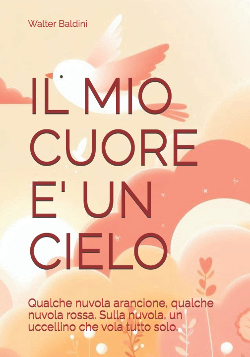 Libro IL MIO CUORE E' UN CIELO Walter Baldini