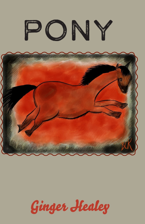 Kniha Pony Ginger Healey