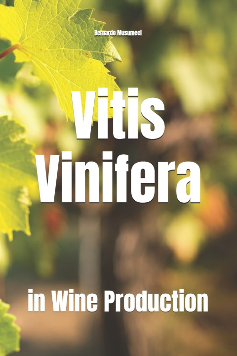 Kniha Vitis Vinifera Bernardo Musumeci