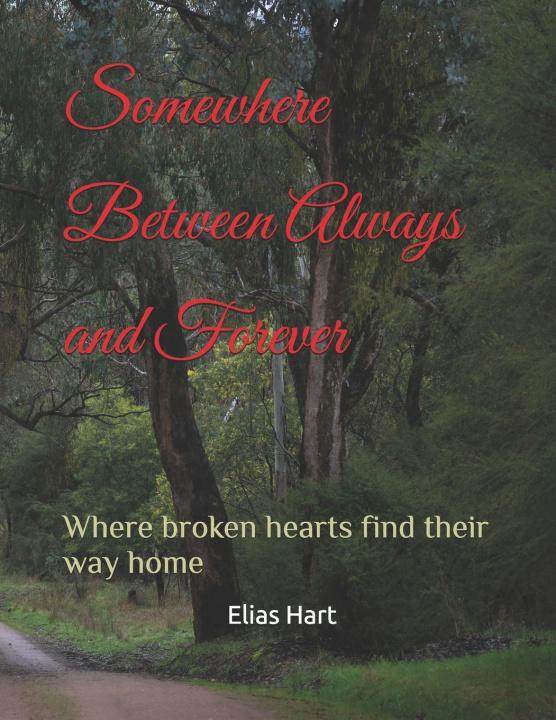 Kniha Somewhere Between Always and Forever Elias Hart