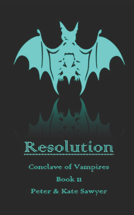 Kniha Resolution Kate Sawyer