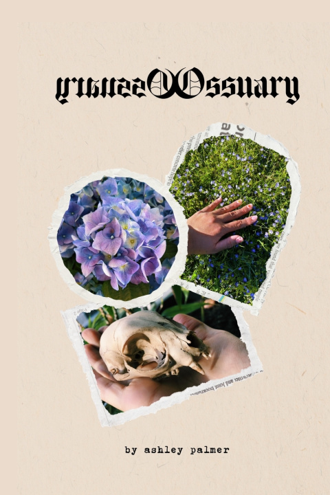 Book Ossuary Ashley Palmer