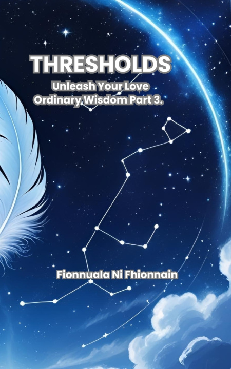 Kniha Thresholds Fionnuala Ni Fhionnain