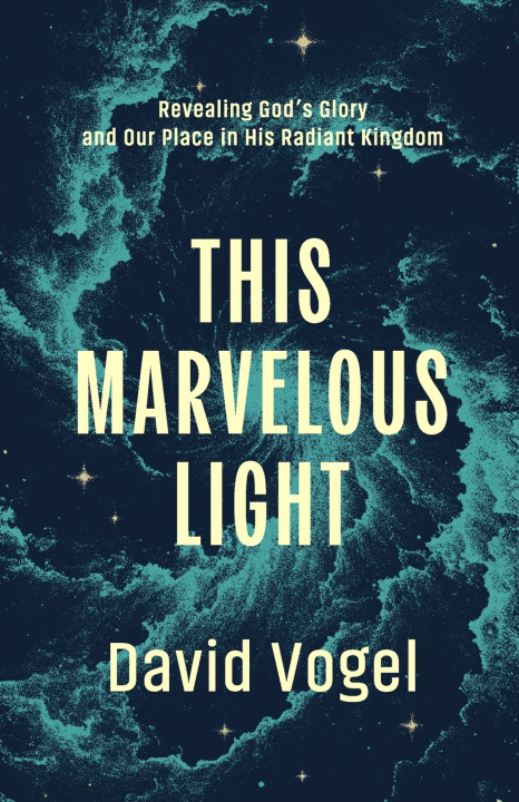 Kniha This Marvelous Light David Vogel