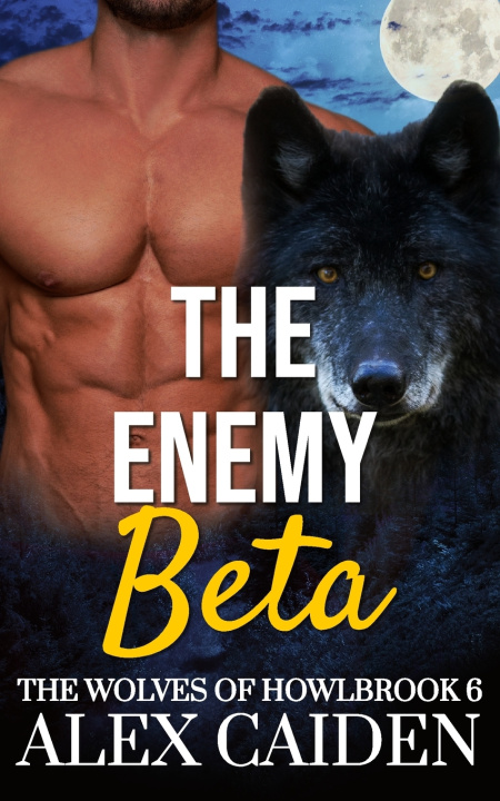 Kniha The Enemy Beta Alex Caiden