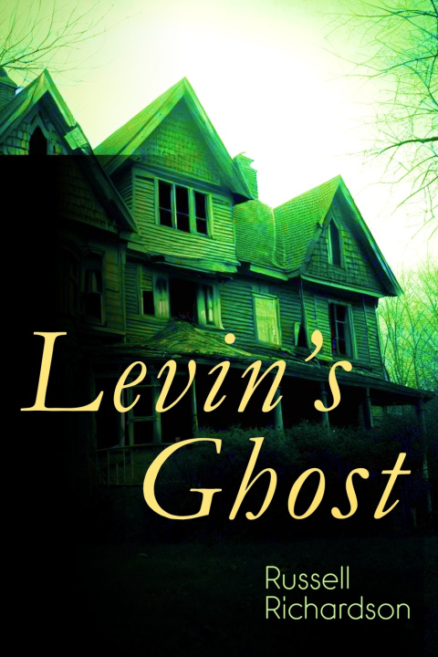 Book Levin's Ghost Russell Richardson