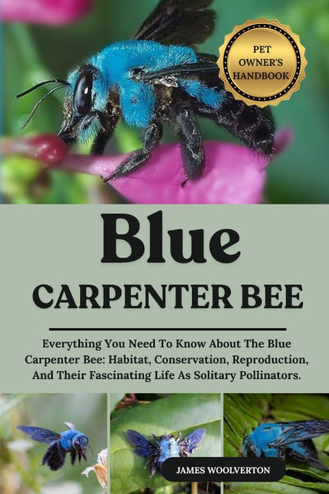 Kniha BLUE CARPENTER BEE JAMES WOOLVERTON