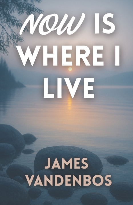 Kniha Now Is Where I Live James Vandenbos
