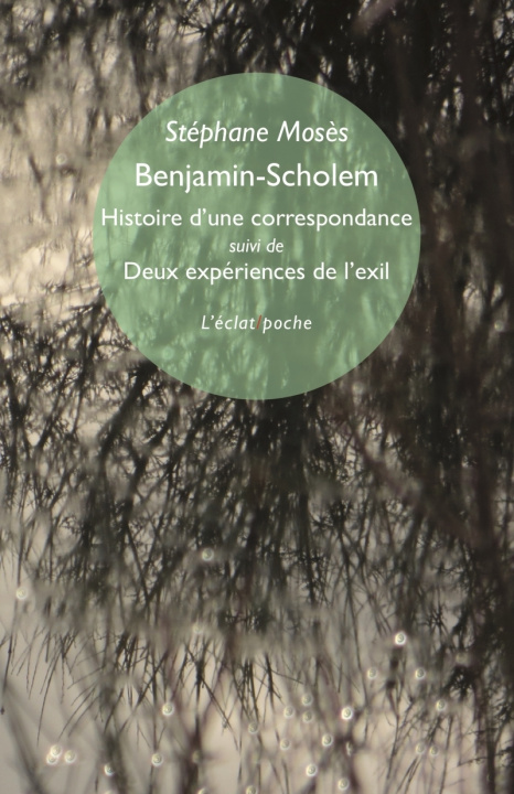 Kniha Benjamin-Scholem. Histoire d'une correspondance Stéphane MOSES