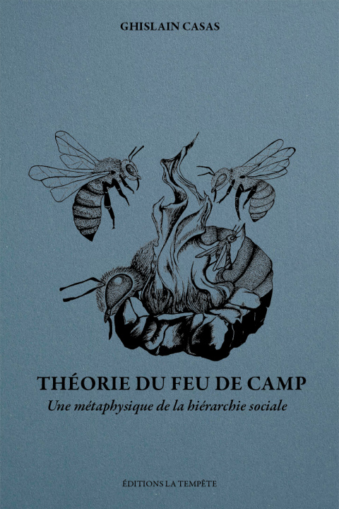 Boek Théorie du feu de camp Casas