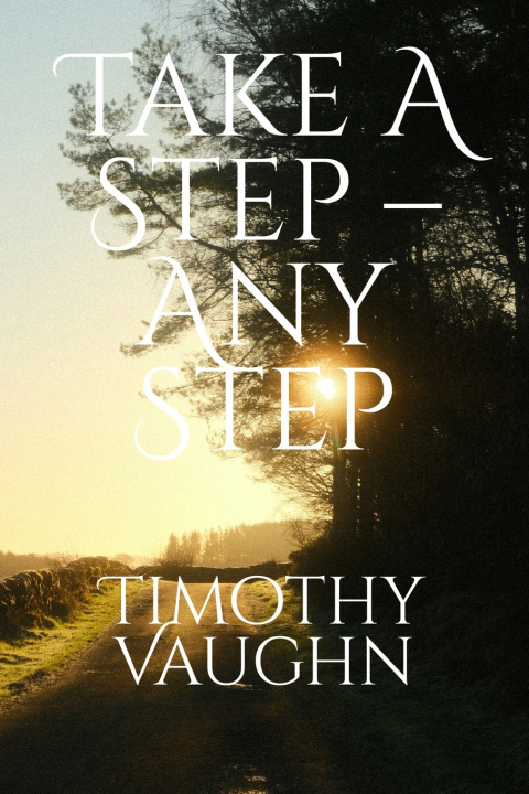 Kniha Take a Step - Any Step Timothy Vaughn
