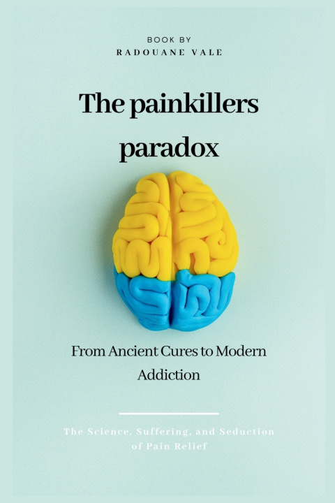 Kniha The Painkiller Paradox Radouane Vale