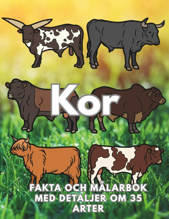 Kniha Kor Steven Book