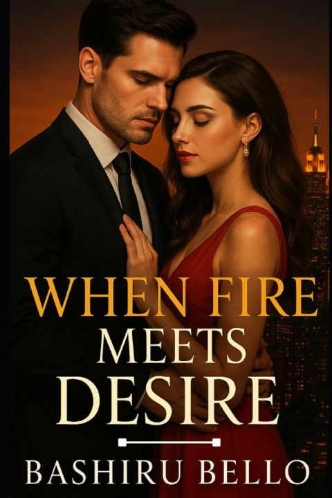 Knjiga When Fire Meets Desire Bashiru Bello