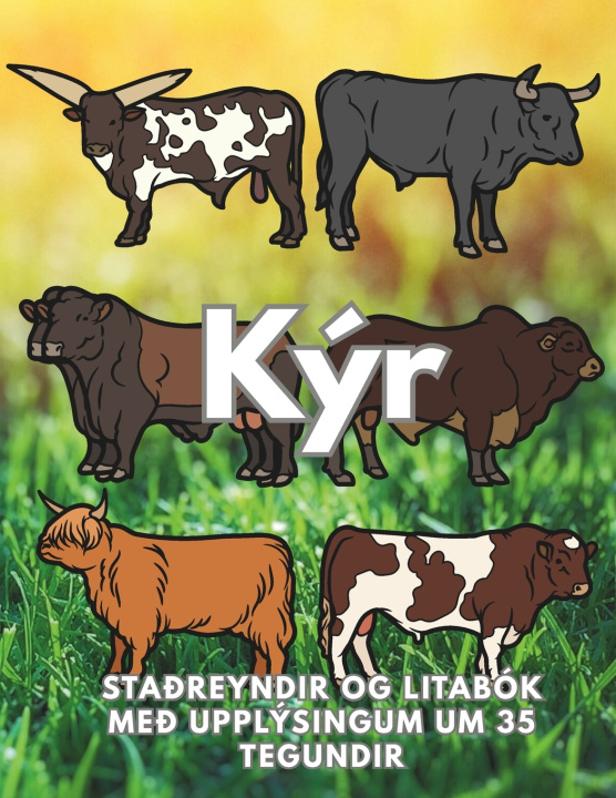 Kniha Kýr Steven Book