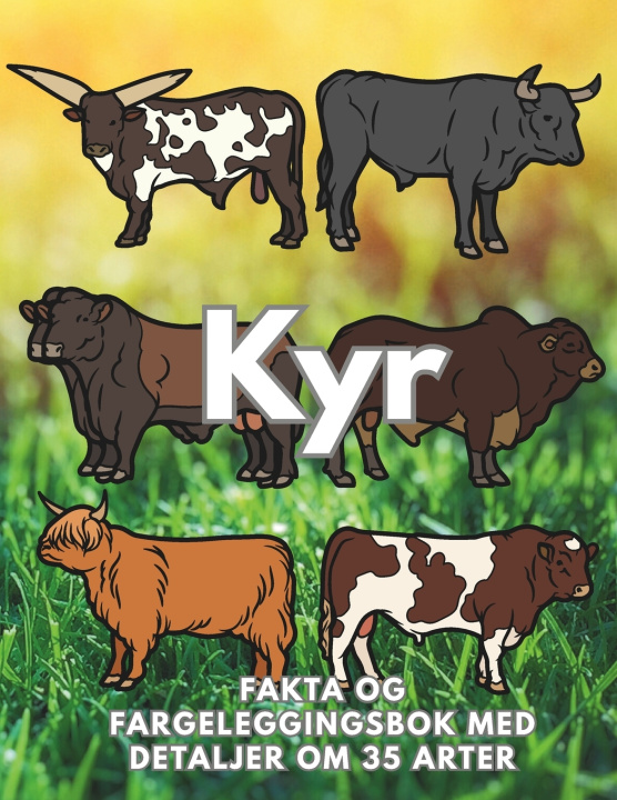Kniha Kyr Steven Book