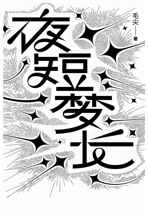 Buch 夜短梦长 毛尖