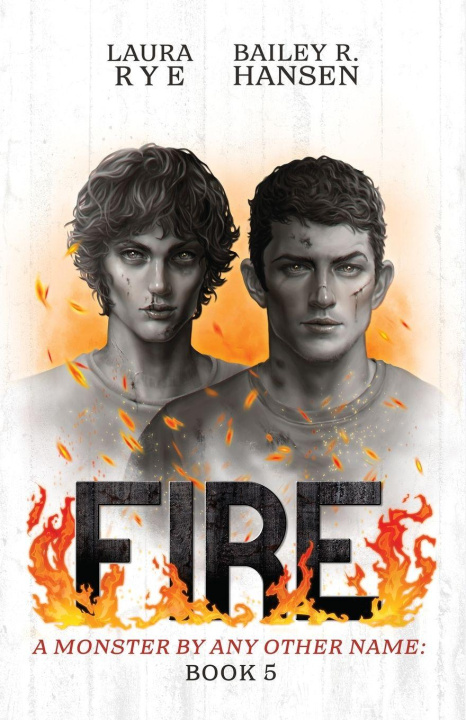 Kniha Fire Laura Rye