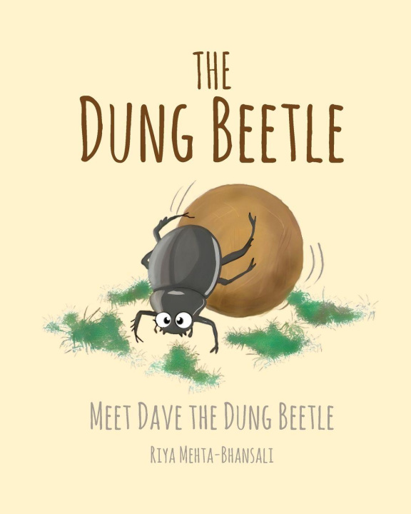 Book The Dung Beetle Riya Mehta Bhansali