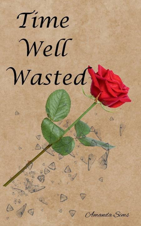 Knjiga Time Well Wasted Amanda sims