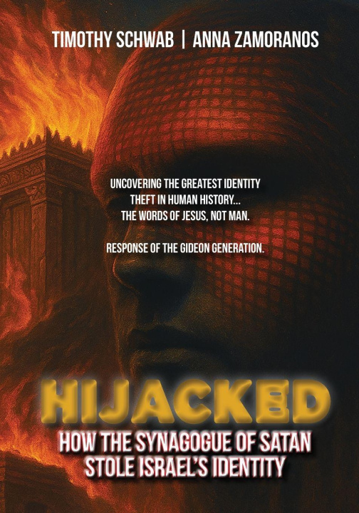 Buch HIJACKED TImothy Jay Schwab