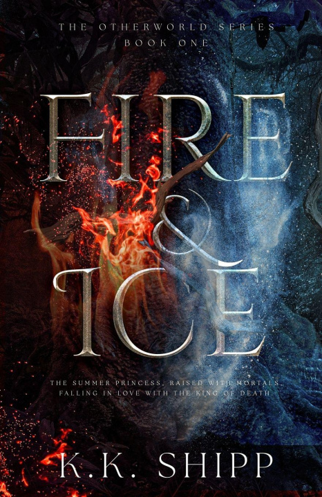 Kniha Fire & Ice Karen K Shipp