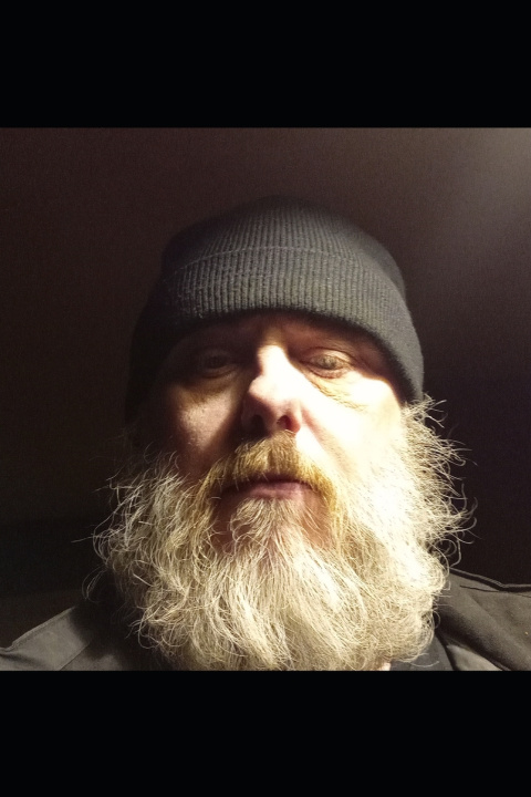 Knjiga Äventyret genom mörker och ljus Myran Wahlstream