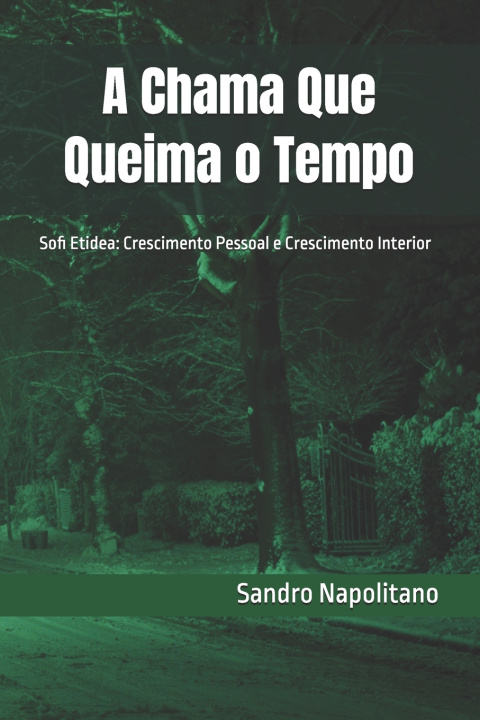 Book A Chama Que Queima o Tempo Sandro Napolitano