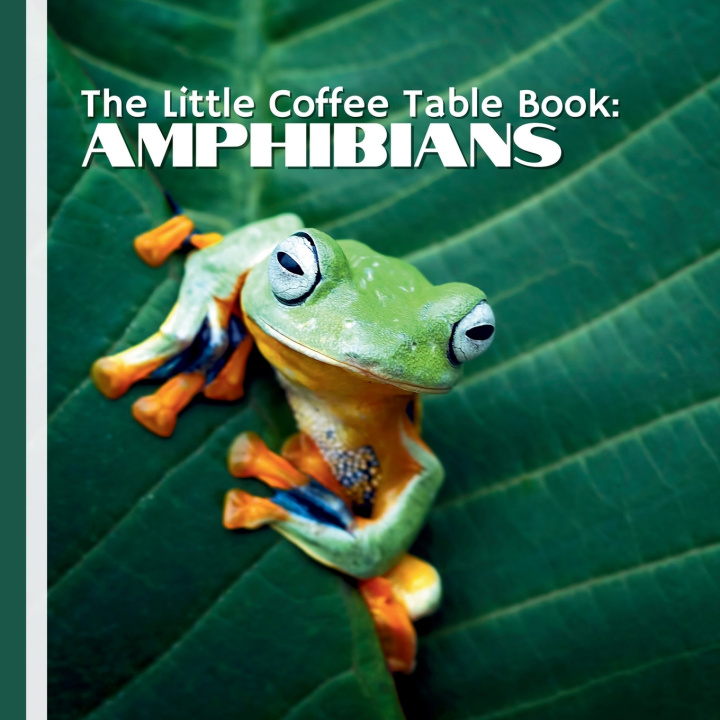 Knjiga The Little Coffee Table Book MEHCO by Design