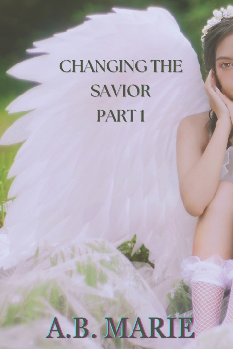 Knjiga Changing the Savior (Part 1) A.B. Marie