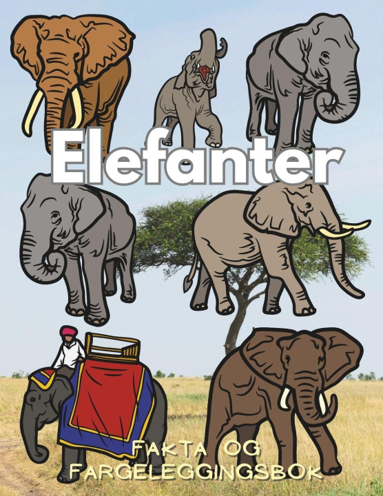 Kniha Elefanter Steven Book
