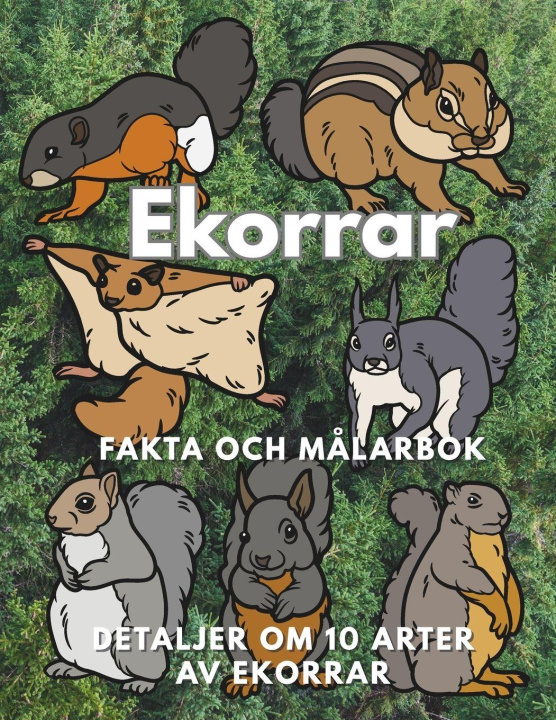 Buch Ekorrar Steven Book
