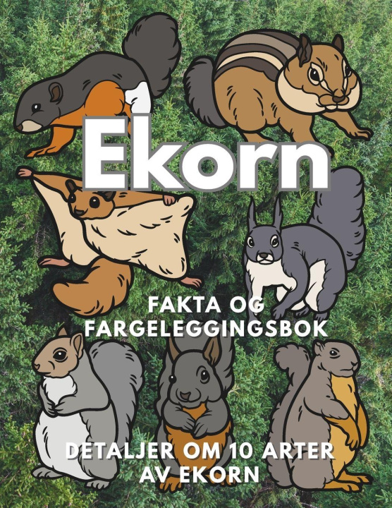 Knjiga Ekorn Steven Book