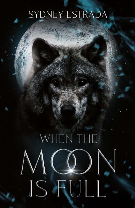 Kniha When the Moon is Full Sydney Estrada